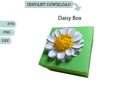 3D SVG Gift Box with Daisy